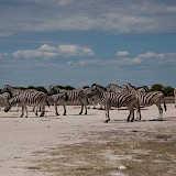 Namibië & Botswana